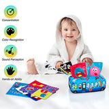 KidsPark Baby Tissue Box Toy, Montessori Sensory Toys 6-12 Months with Crinkle Tissue Papers & Colorful Scarves, Early Learning Educational Toys for Babies Toddlers, Blue